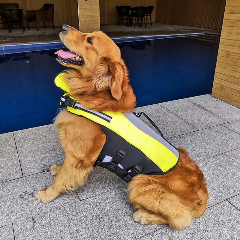 Why Your Pet Needs the Pet Reflective Nylon Airbag Life Jacket
