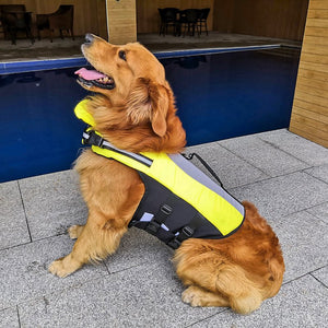 Why Your Pet Needs the Pet Reflective Nylon Airbag Life Jacket