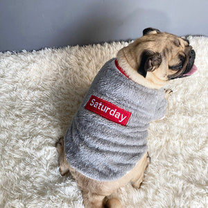 Why Your Pet Deserves a Cozy Sweater