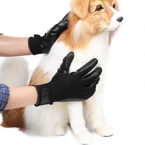 Why Your Pet Deserves the Best Grooming Experience