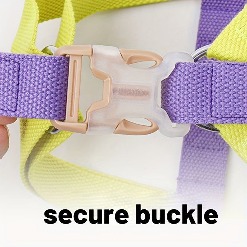 Discover the Rainbow Colorblock Anti Escape Pet Harness Leash Set