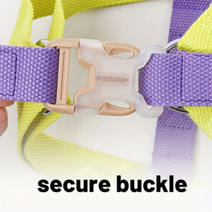 Discover the Rainbow Colorblock Anti Escape Pet Harness Leash Set
