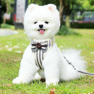 Adjustable Pet Harness Vest With Leash - A Perfect Fit for Your Furry Friend