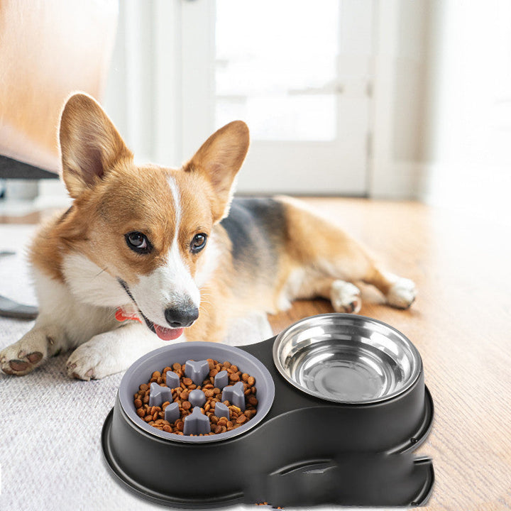 Why Your Pet Needs the Removable Slow Feeding Bowl for Healthy Eating