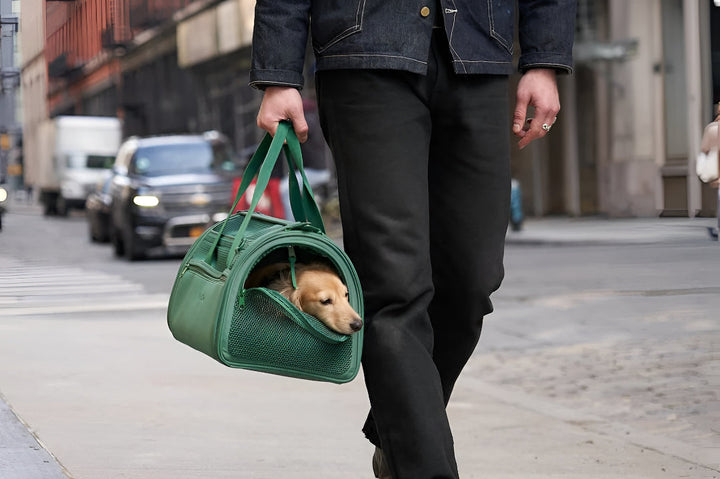 Choosing Best Pet Carrier For Travel