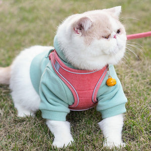 Elevate Your Pet's Travel Experience with Our Pet Vest Chest Harness Leash