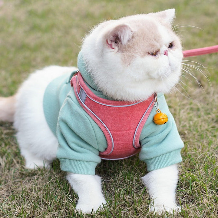 Elevate Your Pet's Travel Experience with Our Pet Vest Chest Harness Leash