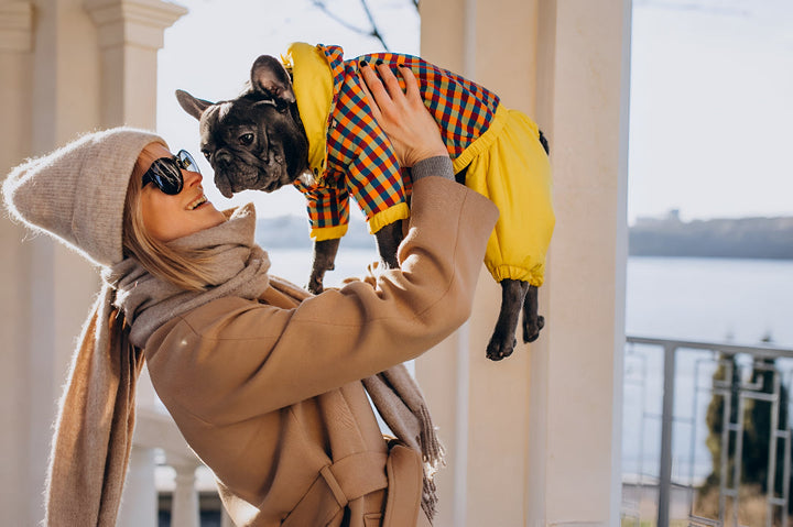 Stylish Comfort In Pet Clothing Choices